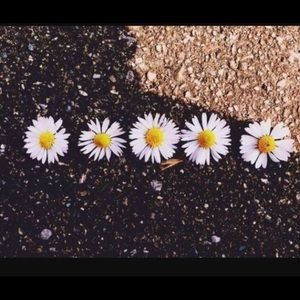 Meet your Posher, Hope